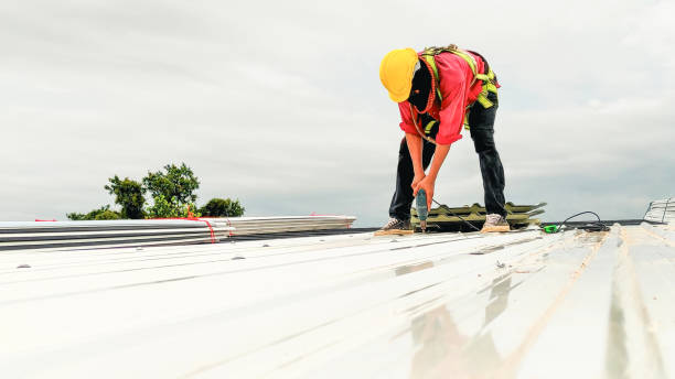 Best Cold Roofs  in Hampton, SC