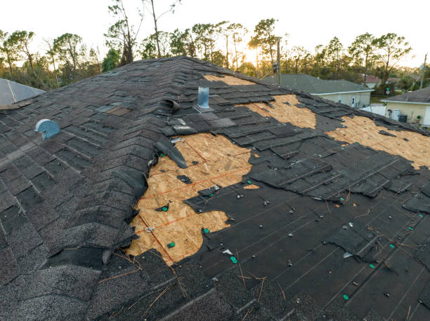 Best Roof Installation  in Hampton, SC