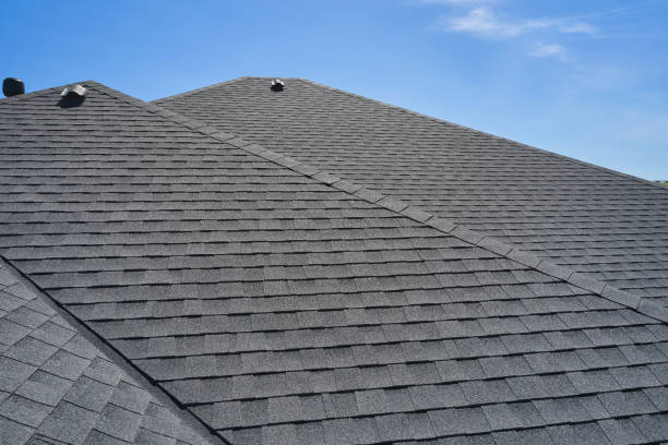 Best Roof Maintenance and Cleaning  in Hampton, SC